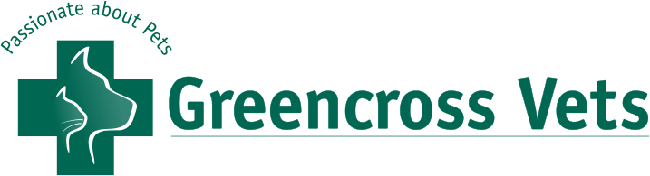 107-1078999_as-the-largest-provider-of-high-quality-veterinary