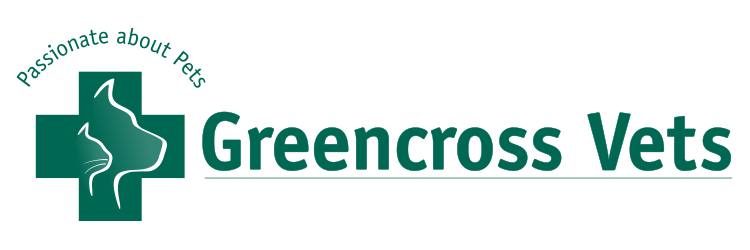 resized_107-1078999_as-the-largest-provider-of-high-quality-veterinary