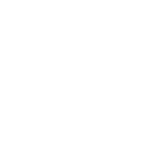 logo-2c